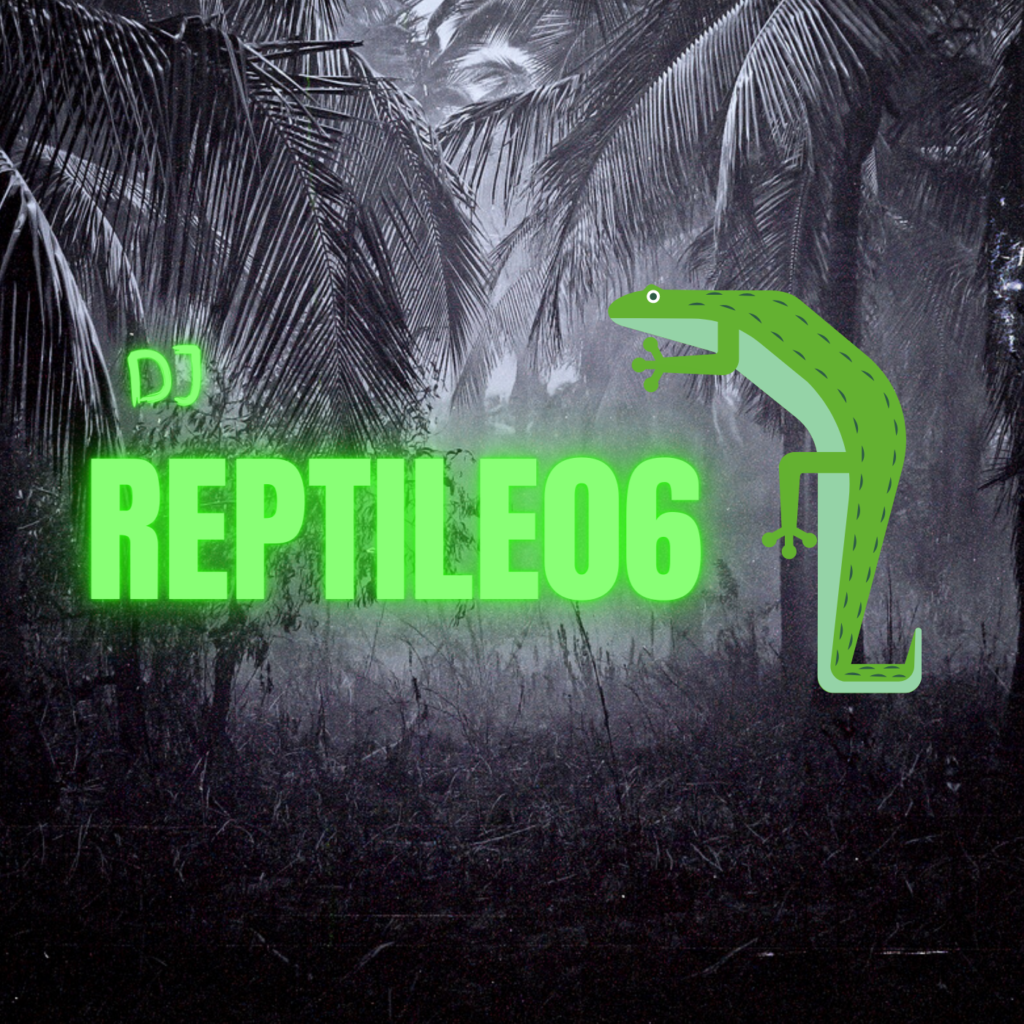 DJ Reptile06