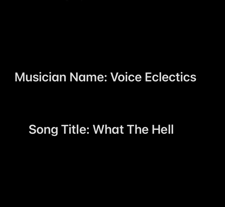 What The Hell - Voice Eclectics