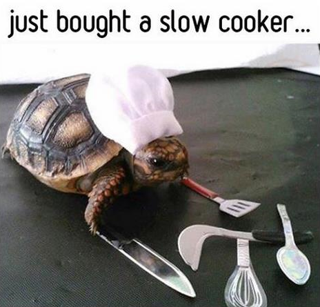 just bought a slow cooker