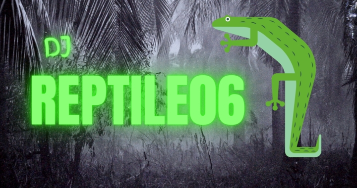 DJ Reptile06